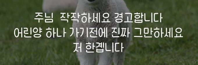 깡통벨트's banner
