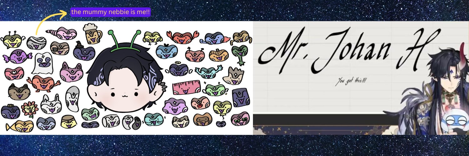 mr. johan H banner