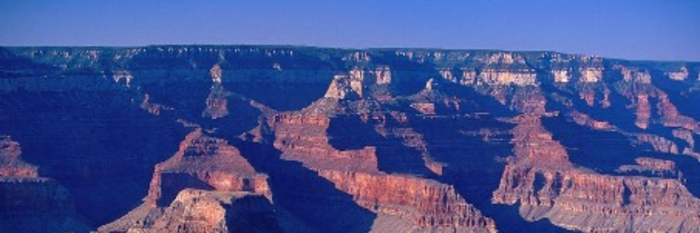 Carey Pollack banner