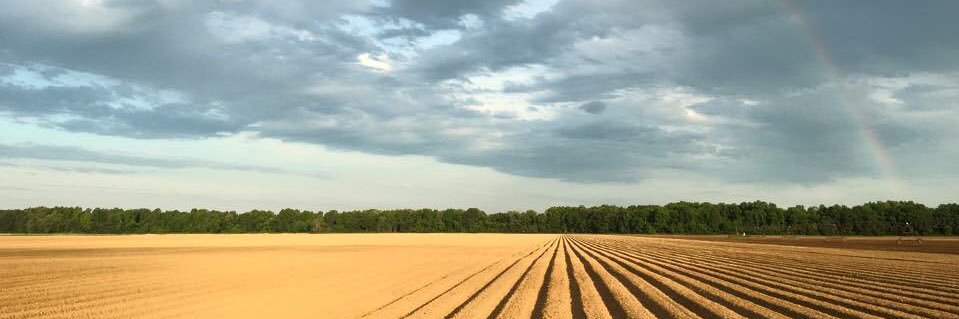 Michael John Gray banner