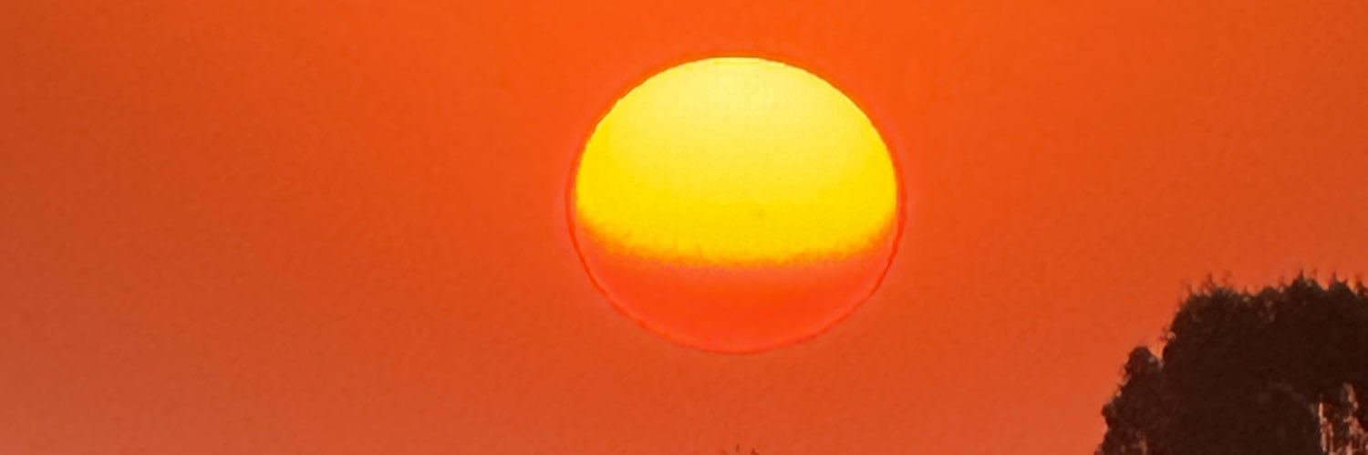 DIDBARROS's profile banner image