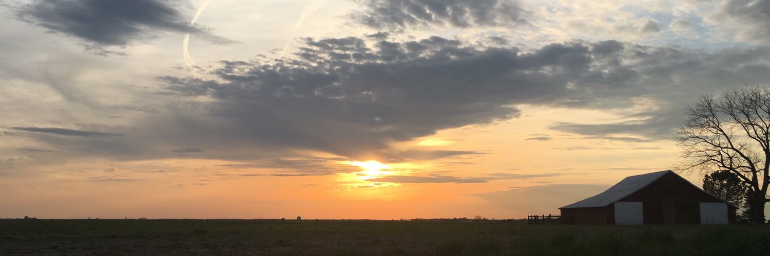 ellenyoung94's profile banner image