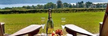 Melinda Hamilton banner