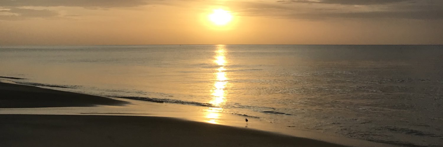 xiagomz's profile banner image