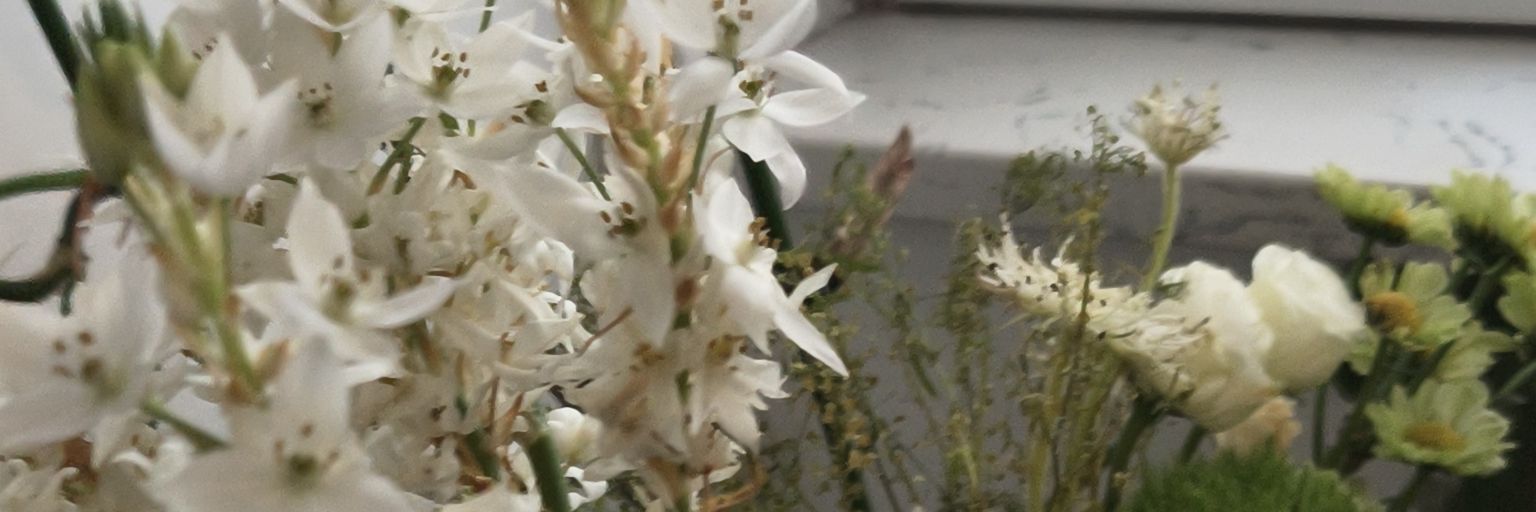 期 banner