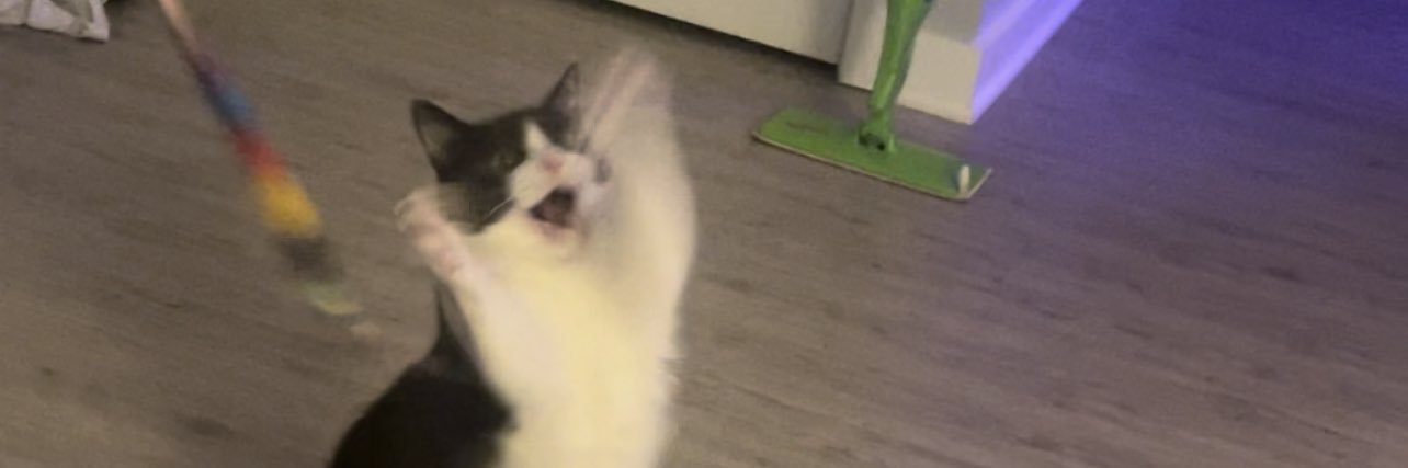 modonnie's profile banner image