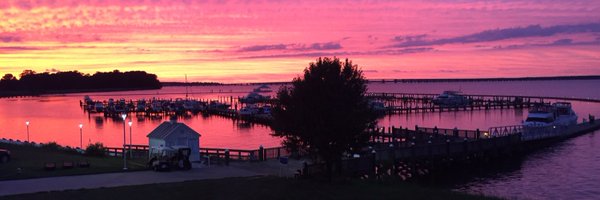 CyndieBernard Profile Banner