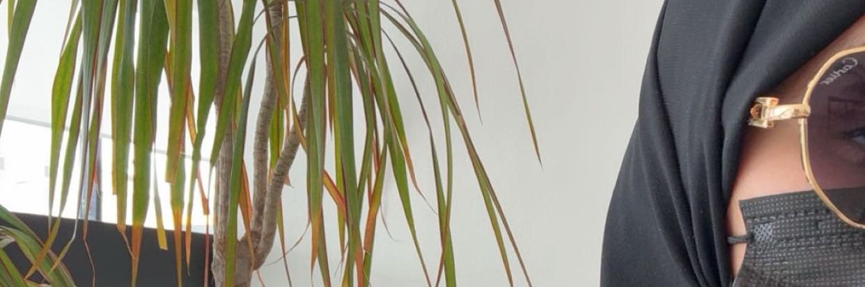 كلارا 🦋 banner