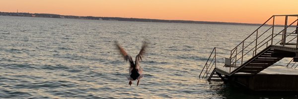 Forat7205 Profile Banner