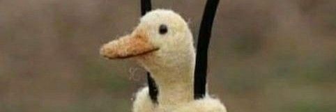 Critical Duck banner
