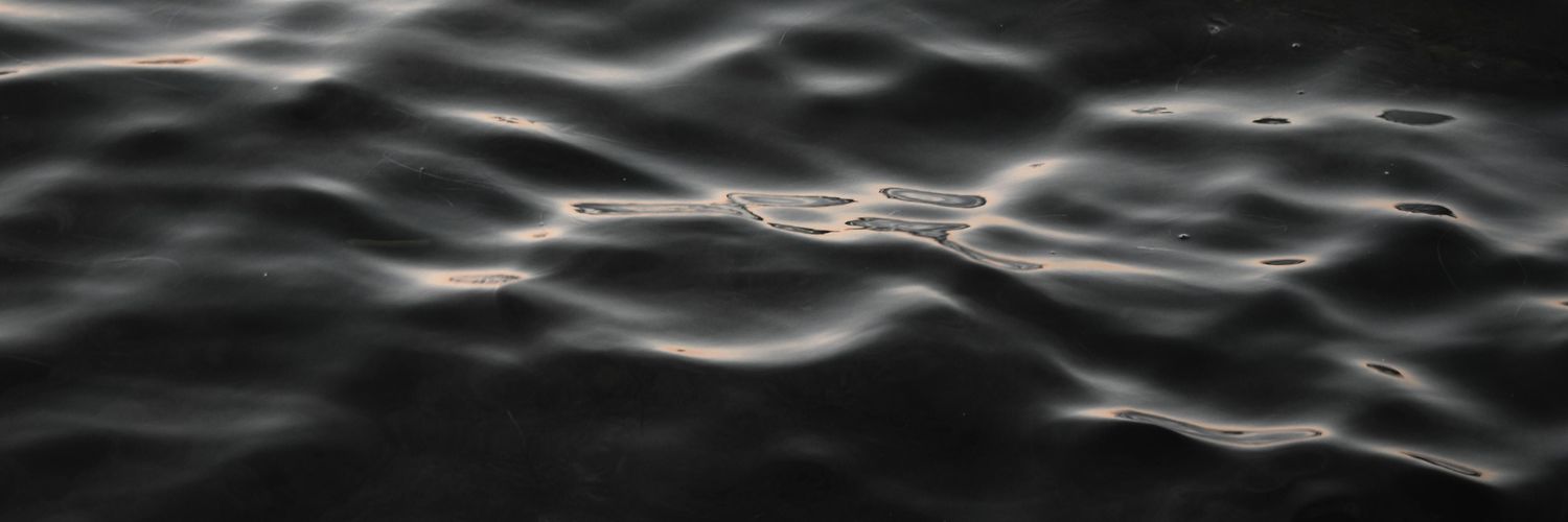 llcc693716's profile banner image