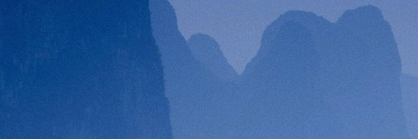 BoidPanda Profile Banner