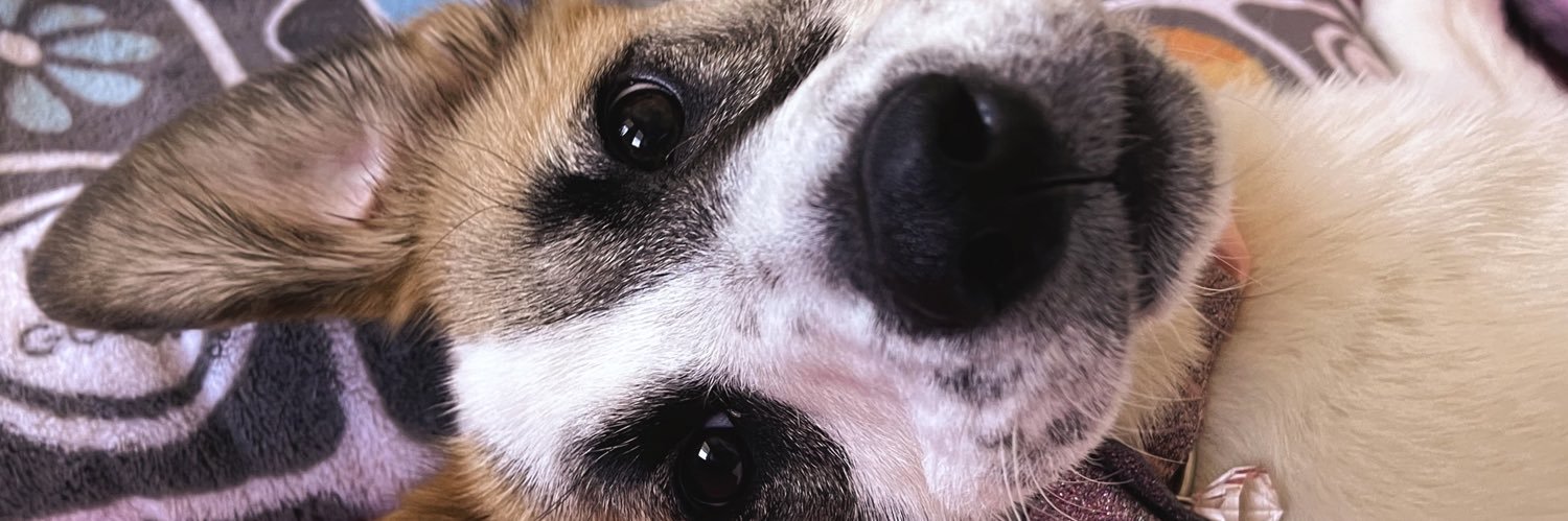 baabyyloe's profile banner image