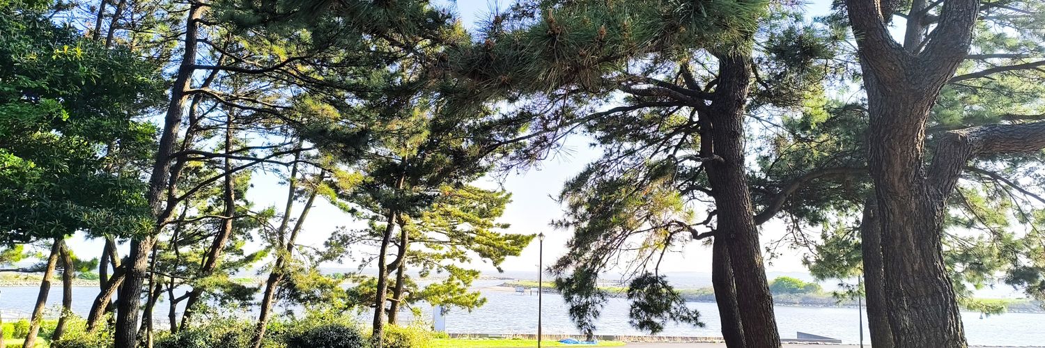Aoinap_'s profile banner image