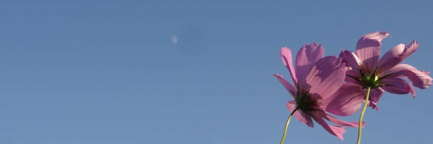 Town7n's profile banner image
