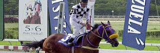 parleyhipismo's profile banner image