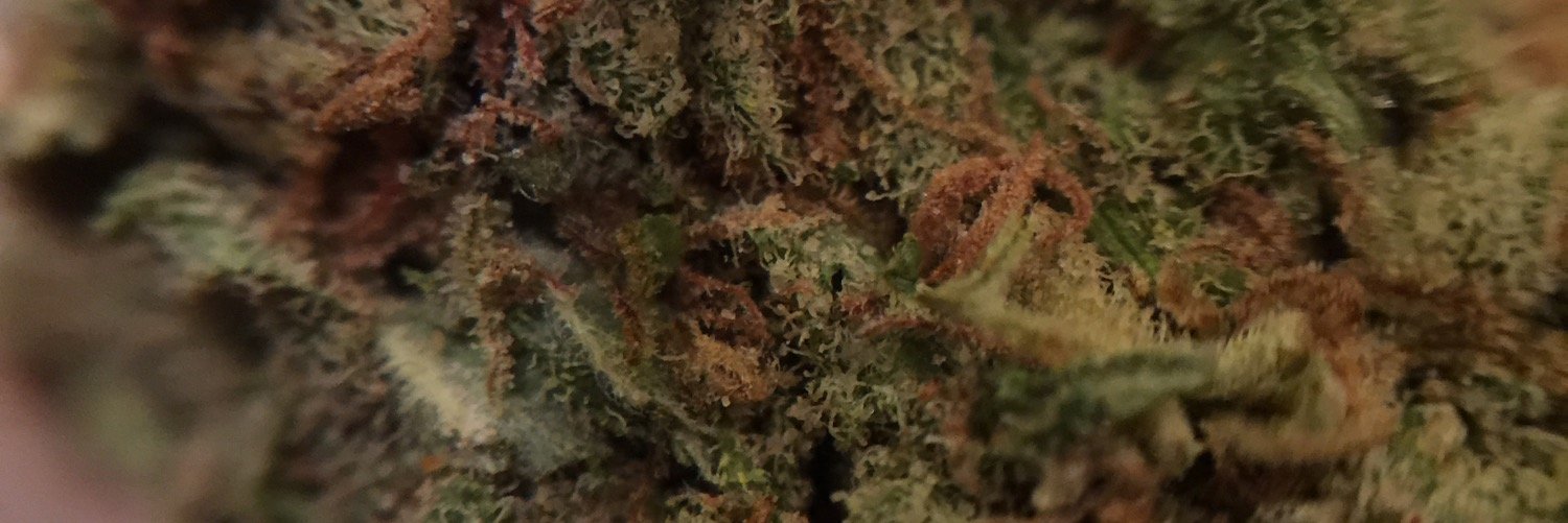 wescal46's profile banner image