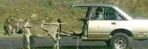 toksvdl Profile Banner