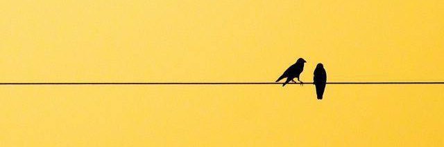 Kw1980's profile banner image