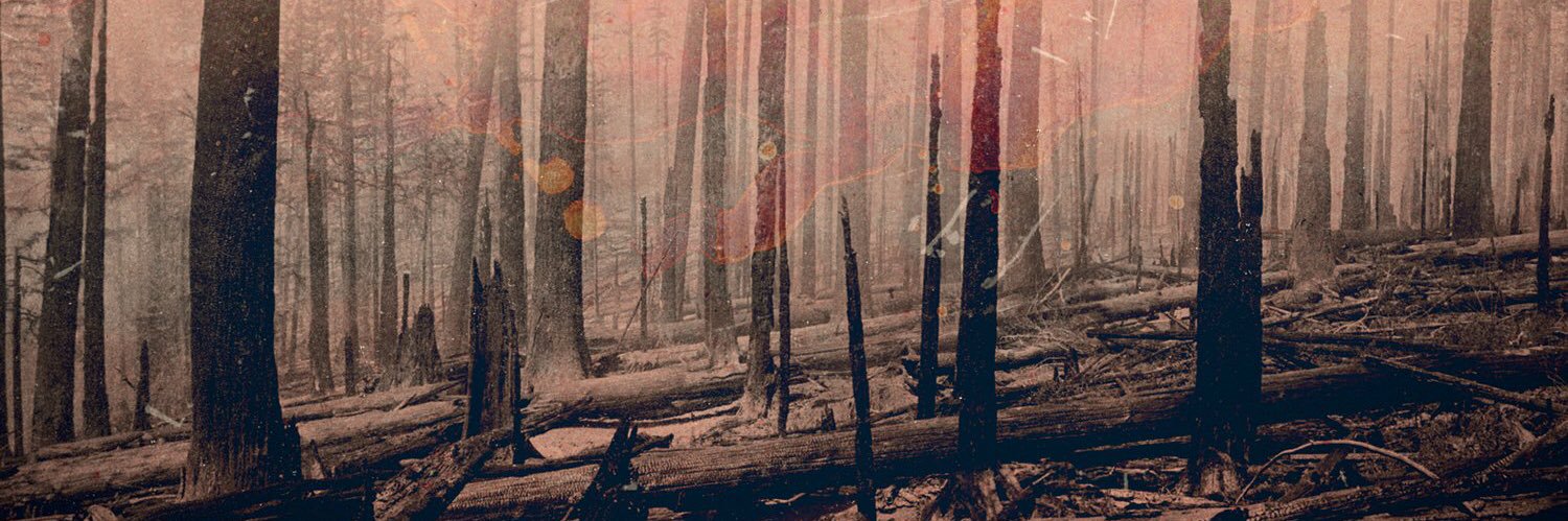 crematedalive's profile banner image