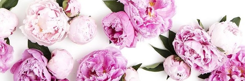 samanthaancer89's profile banner image