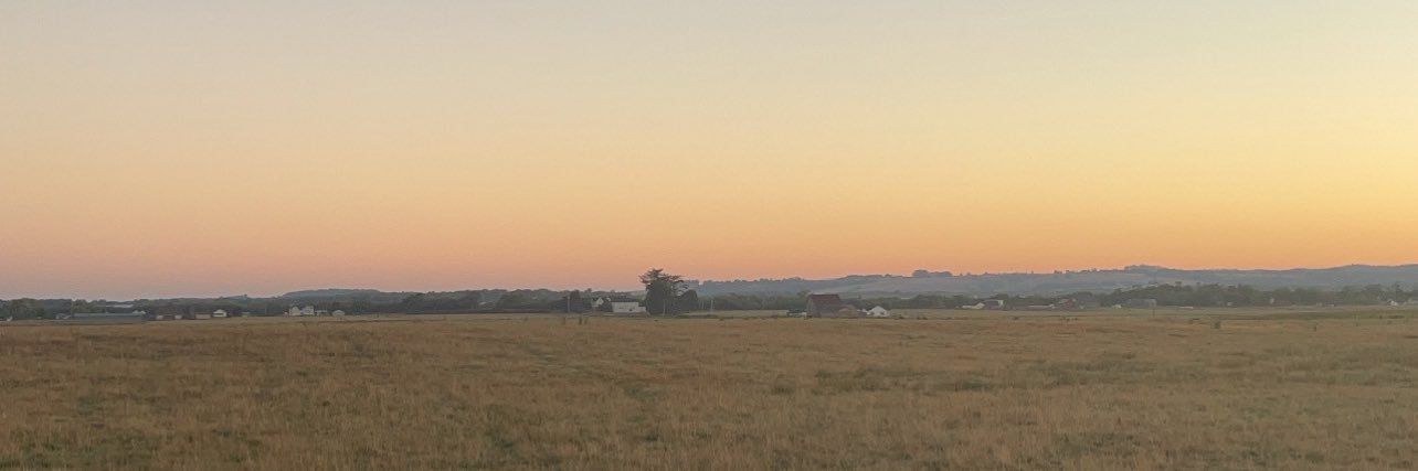 Hailey Dolcini banner