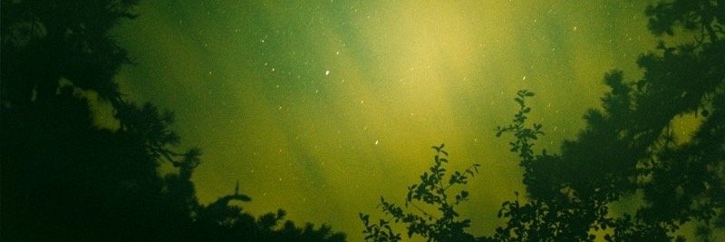 2___Young's profile banner image
