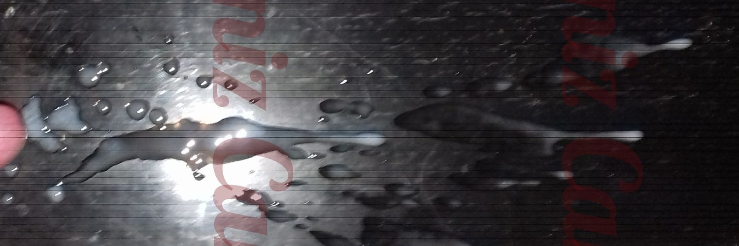 Igniz Camp banner