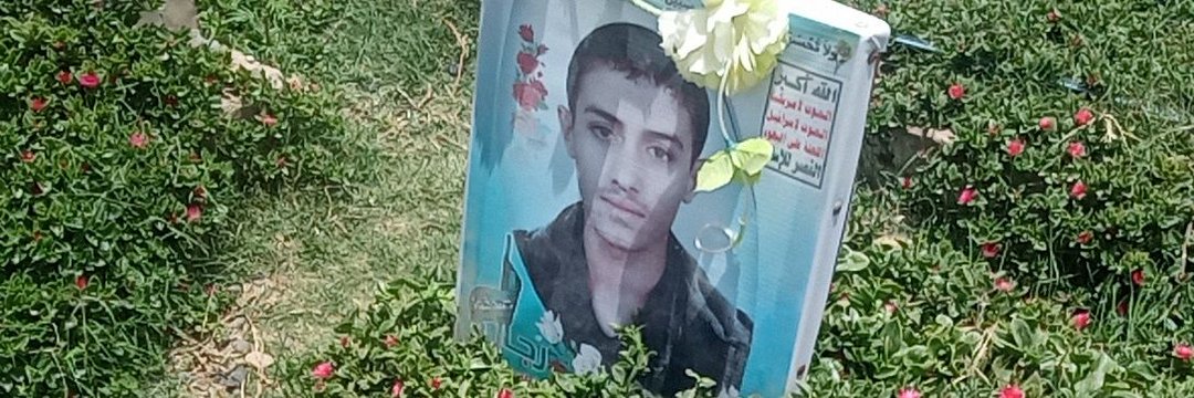 اميرالدين الولــي's banner