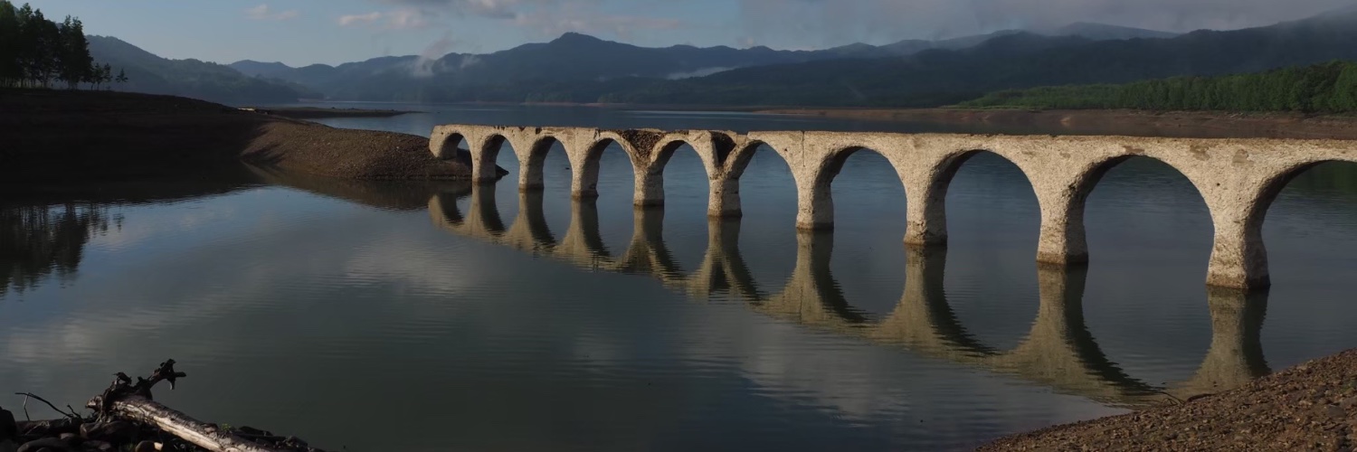 竹本聖子　Seiko Takemoto banner