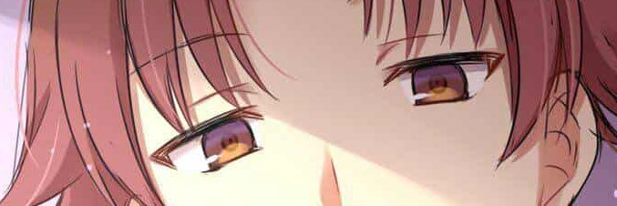 thinhcrytoDV's profile banner image
