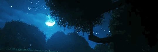 ELLAURR banner