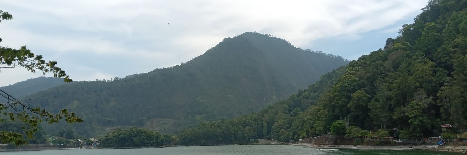 hakuna matata banner