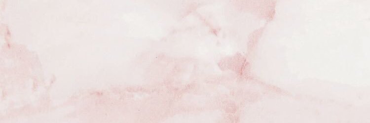 scotty murray banner