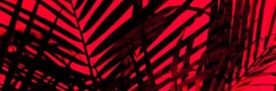 iamdjeboogie's profile banner image