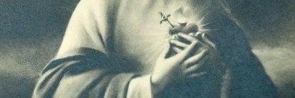 raw fish ⳩ 🕊 banner