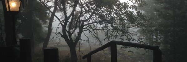 treefrognada Profile Banner