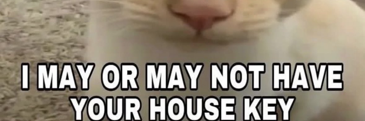 killercryptid's profile banner image