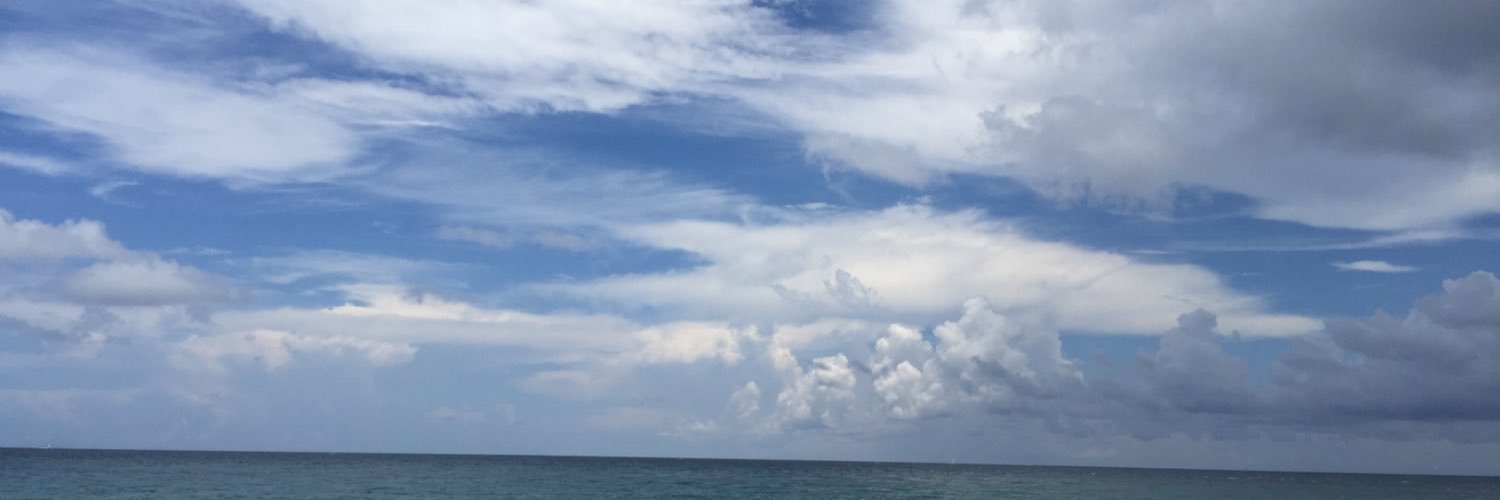 damanilee's profile banner image