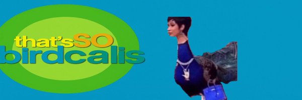 birdcalis Profile Banner