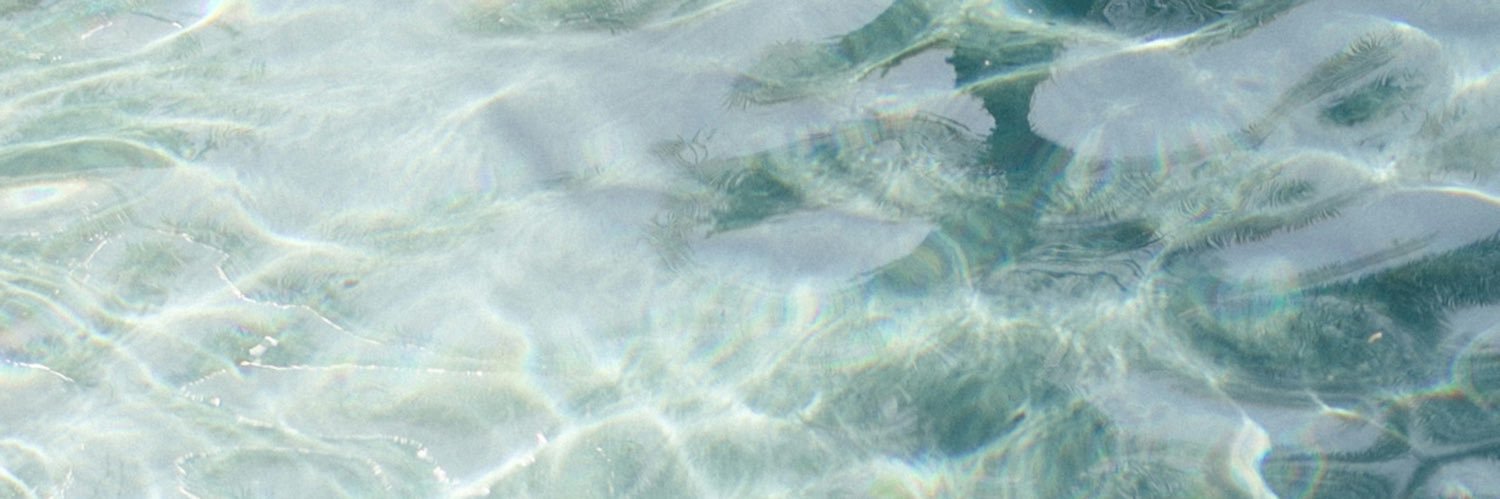 Princess Syvyn banner