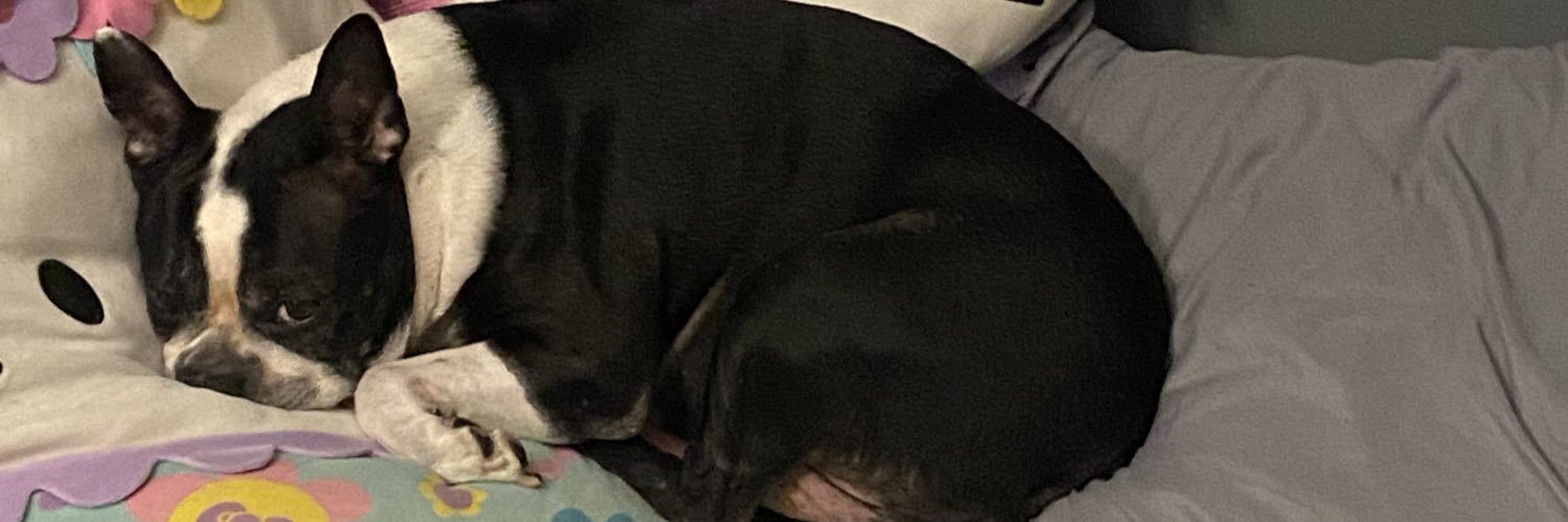 KyleLentzz's profile banner image