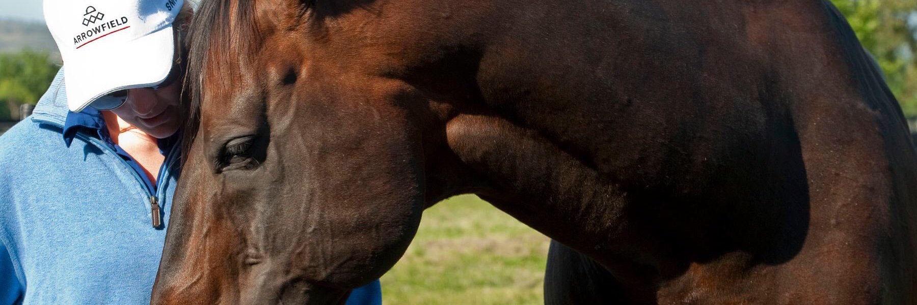 downestips's profile banner image