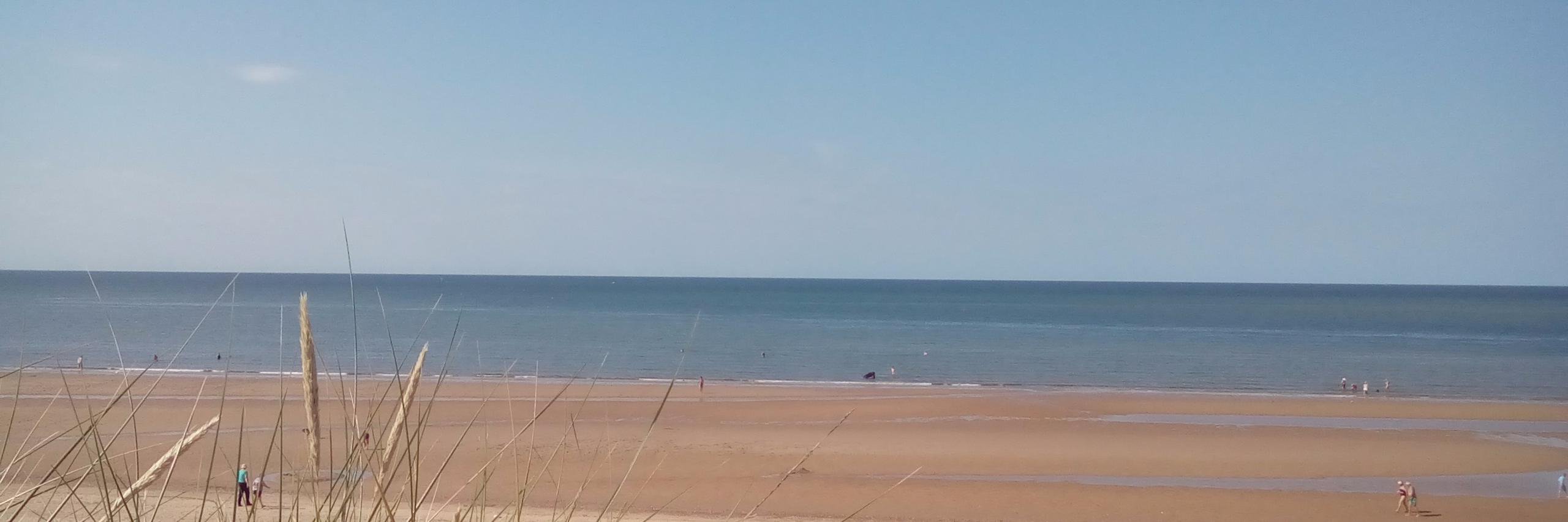 Simon Maxwell banner