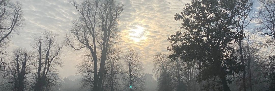 maryspring's profile banner image