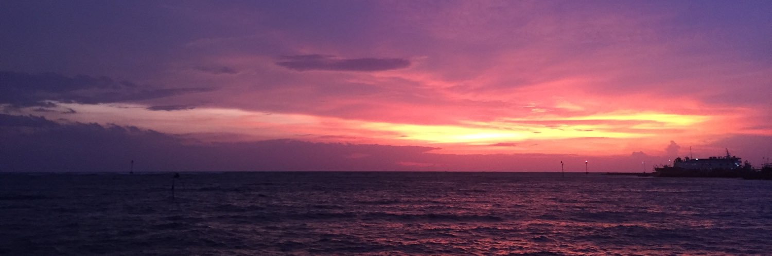 a_h_su's profile banner image