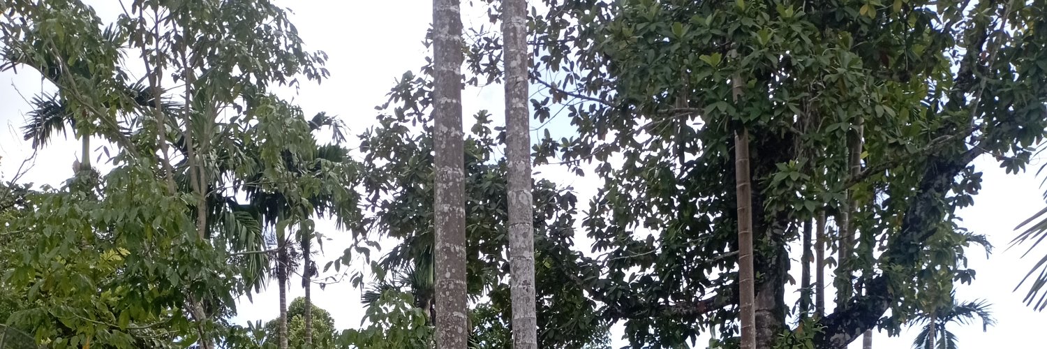 Mulyono banner