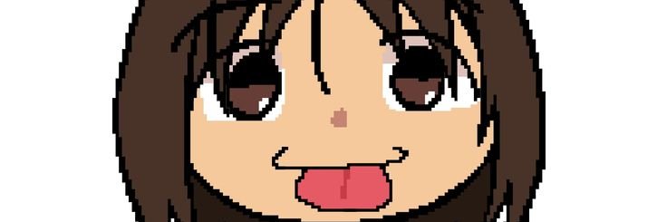 pymes banner
