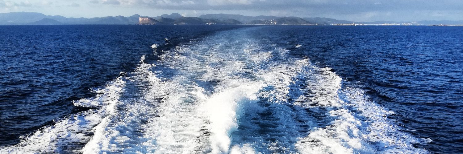 Lluís Planas Zotes banner