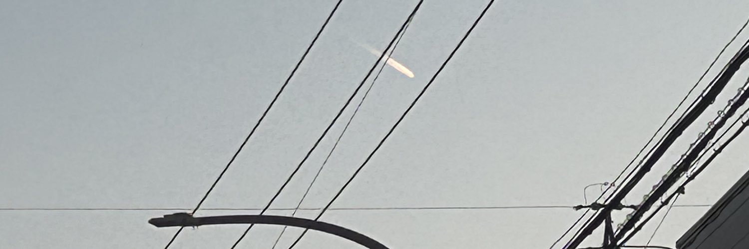 幸せになりてえナ banner